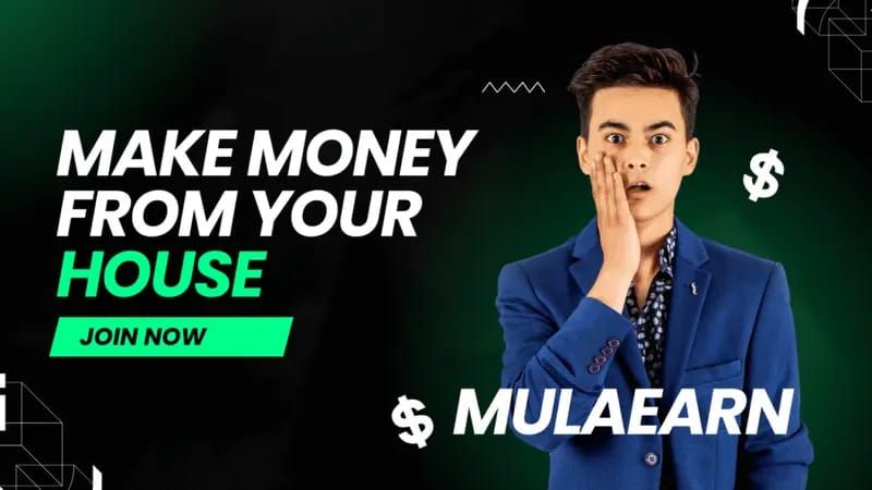 Is MulaEarn Agencies Legit? | Complete Review 2026
